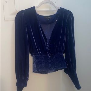 Intermix Blue Velvet top